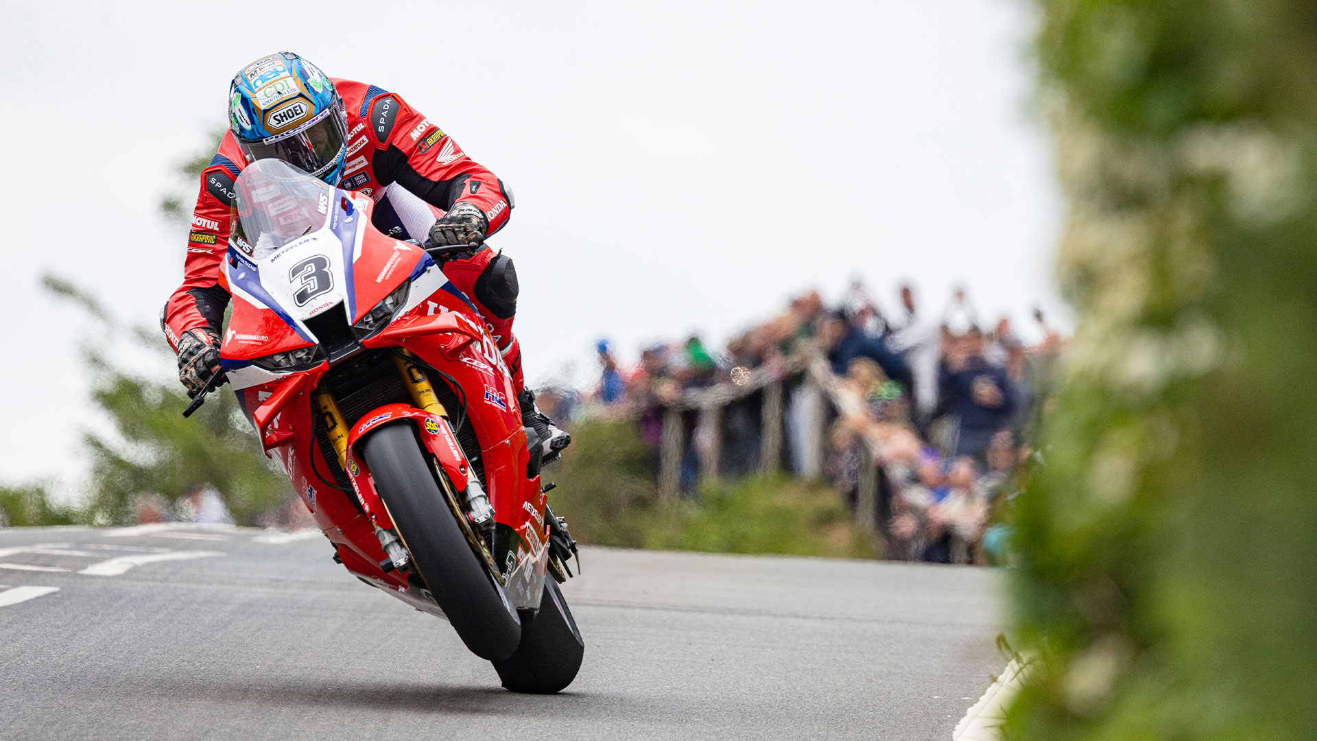 www.iomttraces.com